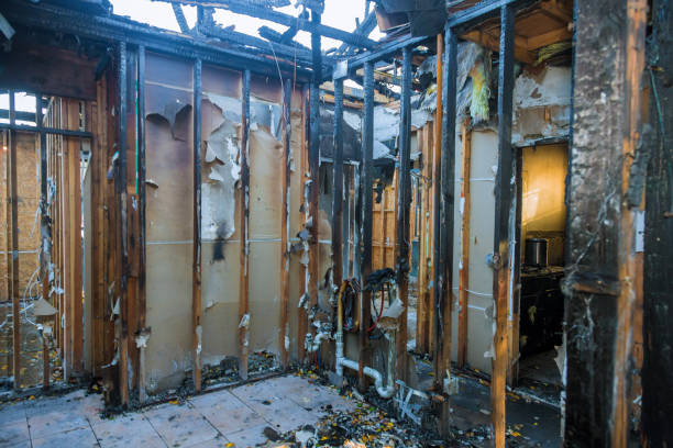 Professional Fire Damage Removal technician working in Cold Spring, NY